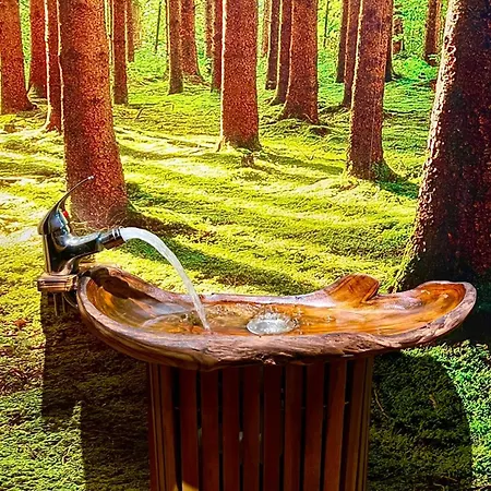 Paradise Wellness - Sauna&spa Villa