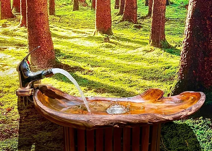 Paradise Wellness - Sauna&spa ヴィラ